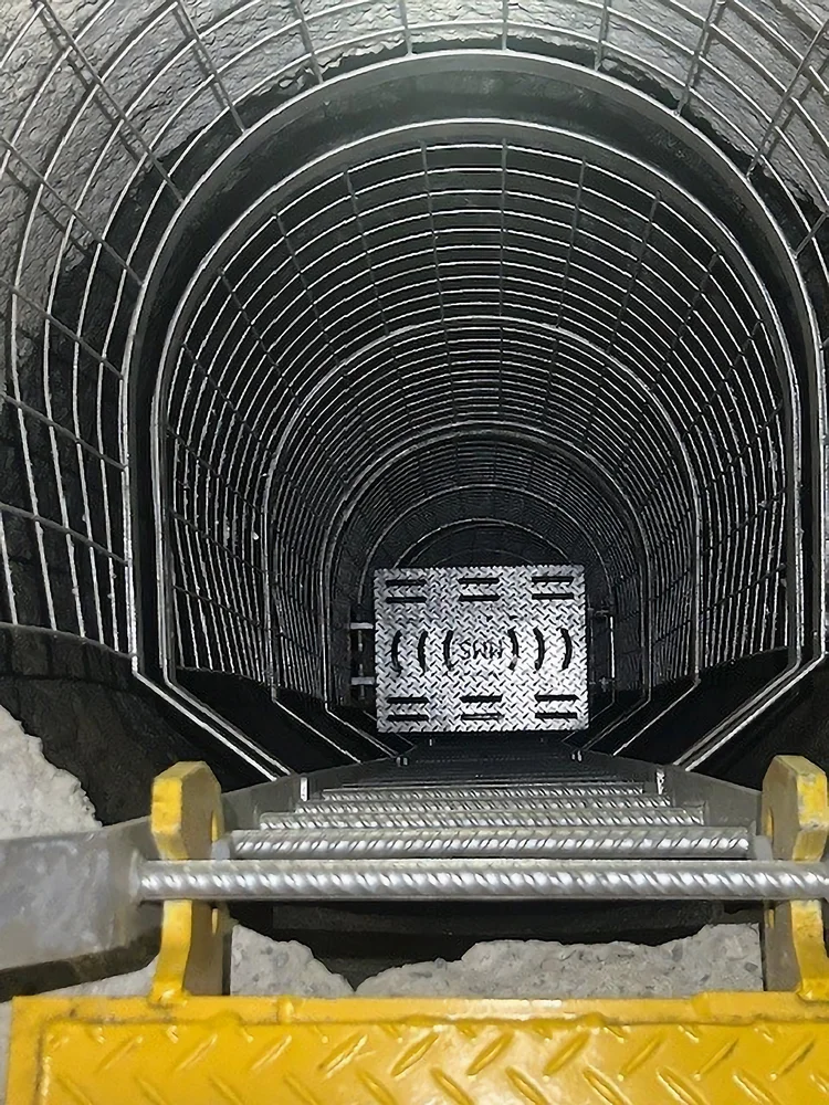 2 Stringer Caged Ladder